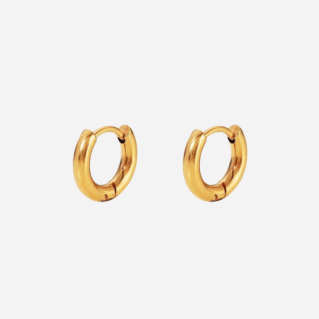 Gold Plated Daily Wear Petite Hoop Earring - 10Mm : DIMPE003