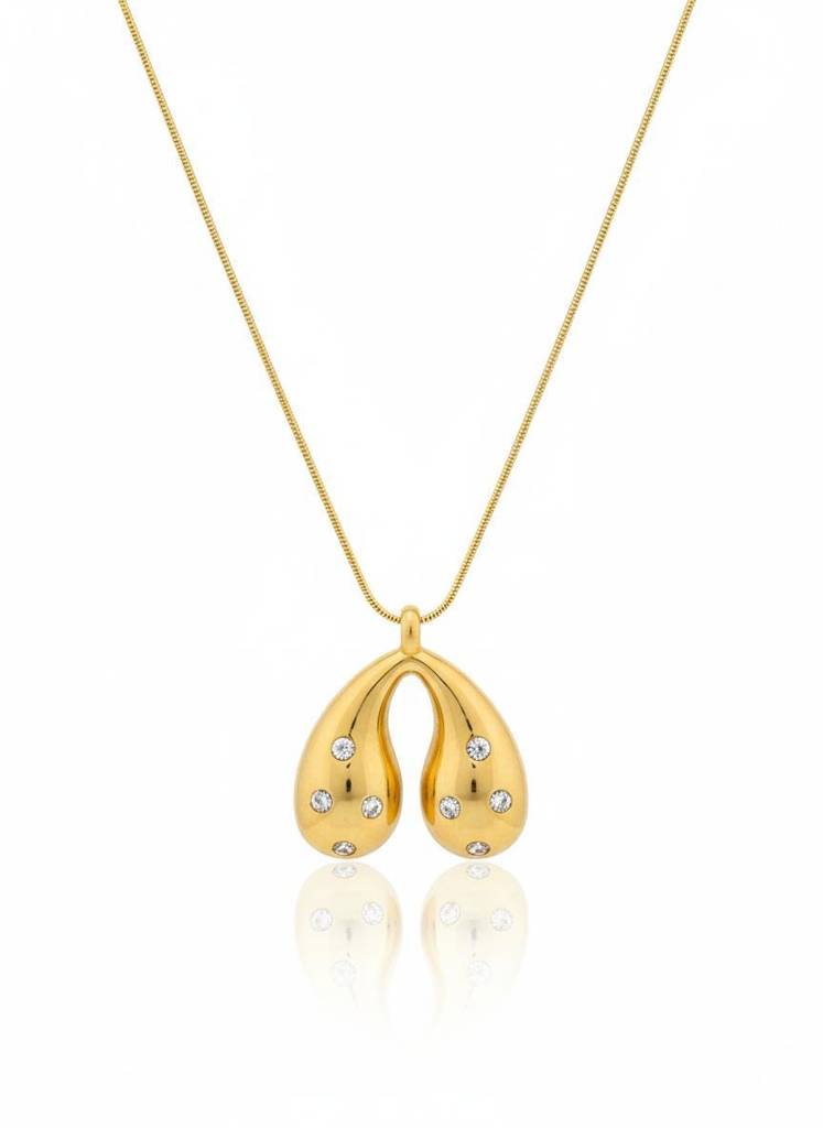Golden Wishbone Necklace : N137