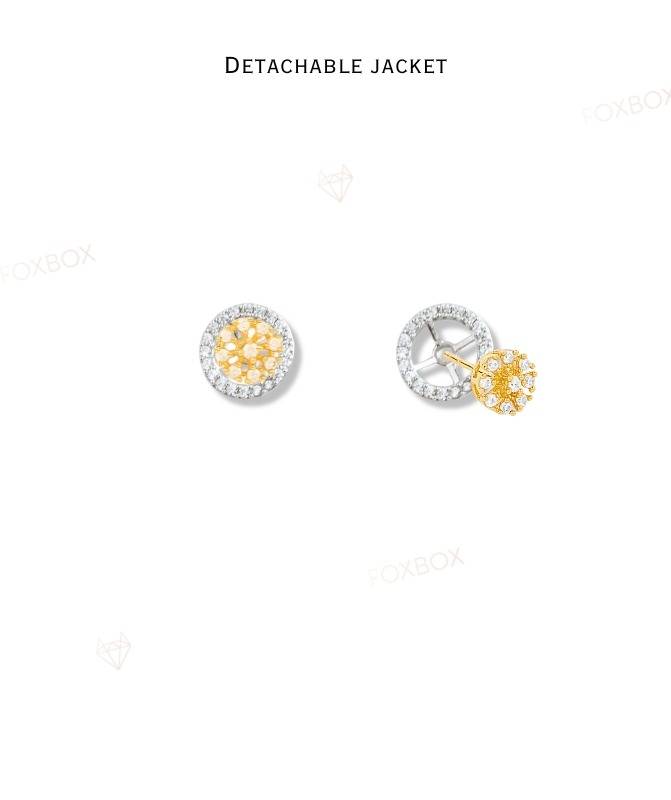 2 In 1 Pure Silver Dual Tone Stud With Detachable Ear Jacket : EC027
