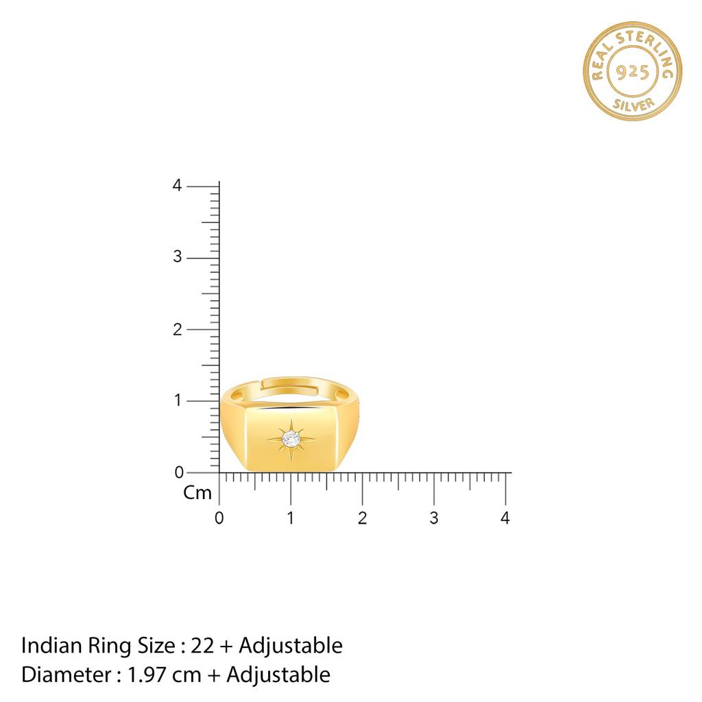 Golden Rise Star Signet Ring For Him : R02125_17