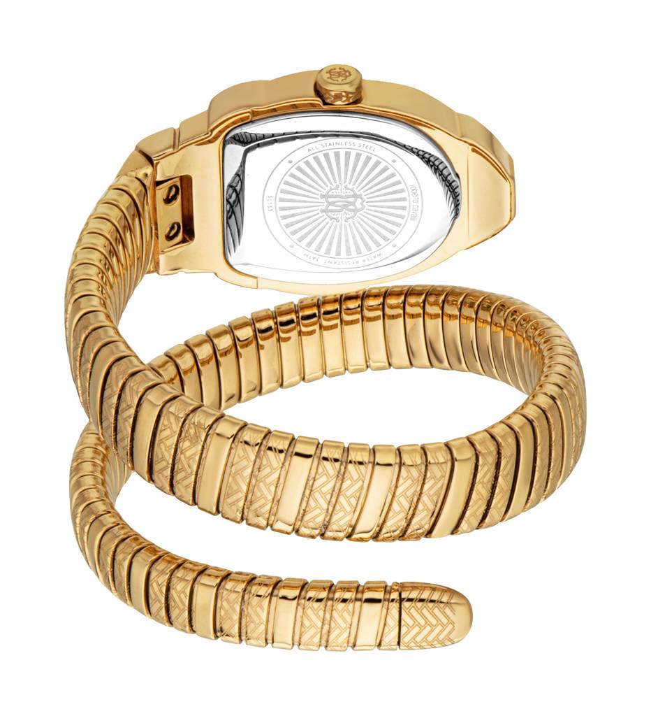 Roberto Cavalli Aurora Women 24 Mm : RC5L133M0045