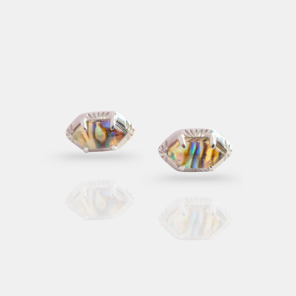 Whispers Of The Aurora Stud Earrings : ER-AURO26-SL-MLT