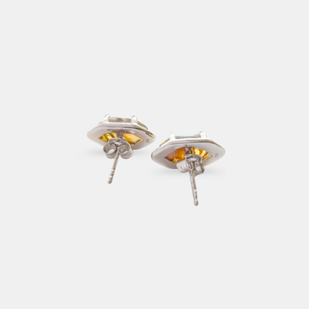 Whispers Of The Aurora Stud Earrings : ER-AURO26-SL-MLT