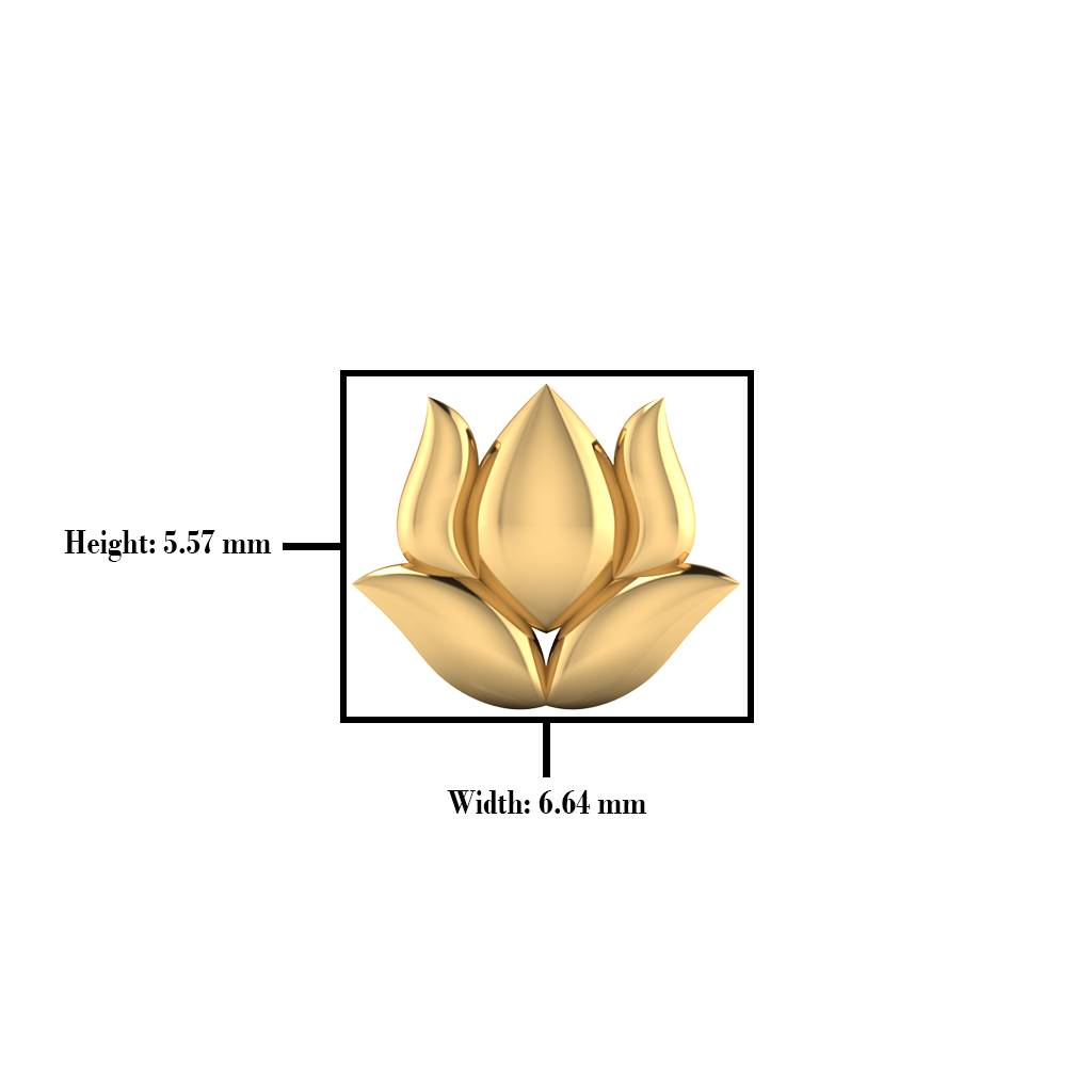 The Gaja Gold Nose Screw : NS-0259YG