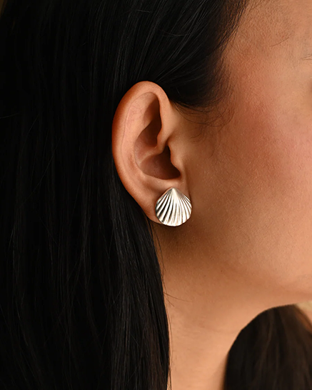 Shell Stud : 116ShellStud