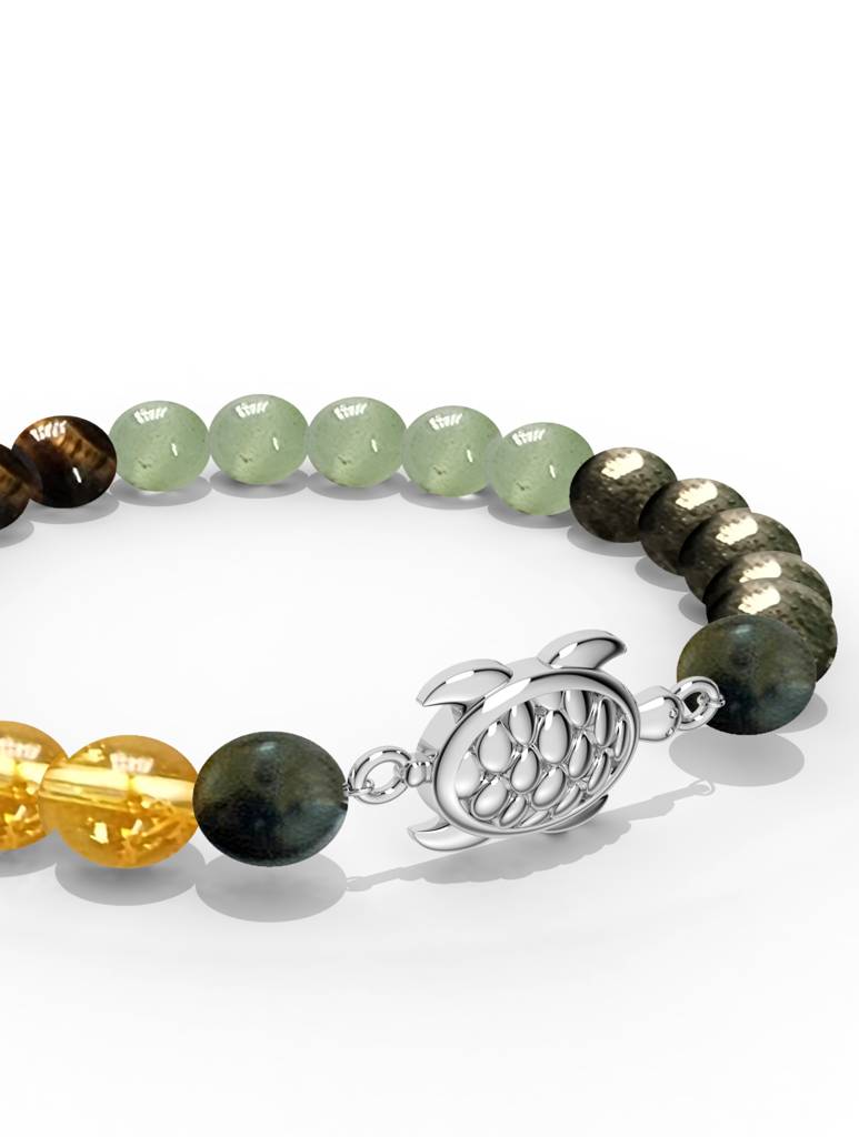925 Sterling Silver Lucky Tortoise Money Magnet Bracelet For Men : SILMENBR008