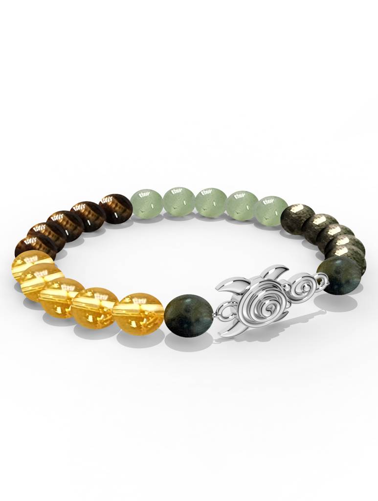925 Sterling Silver Turtle Money Magnet Bracelet For Men : SILMENBR010