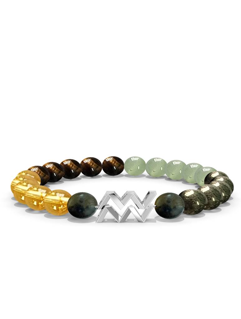 925 Sterling Silver Aquarius Money Magnet Bracelet For Men : SILMENBR017