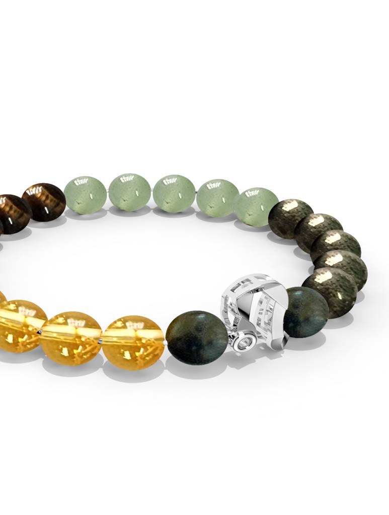 925 Sterling Silver Leo Money Magnet Bracelet For Men : SILMENBR018
