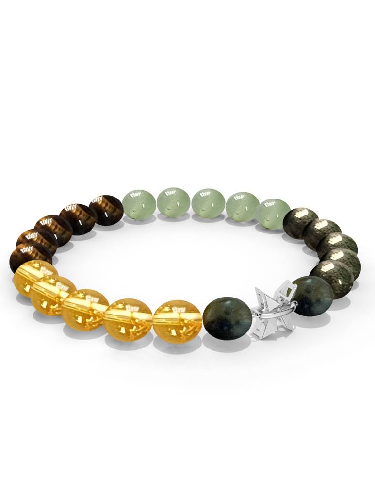 925 Sterling Silver Pisces Money Magnet Bracelet For Men : SILMENBR019