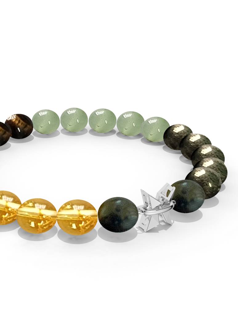 925 Sterling Silver Pisces Money Magnet Bracelet For Men : SILMENBR019