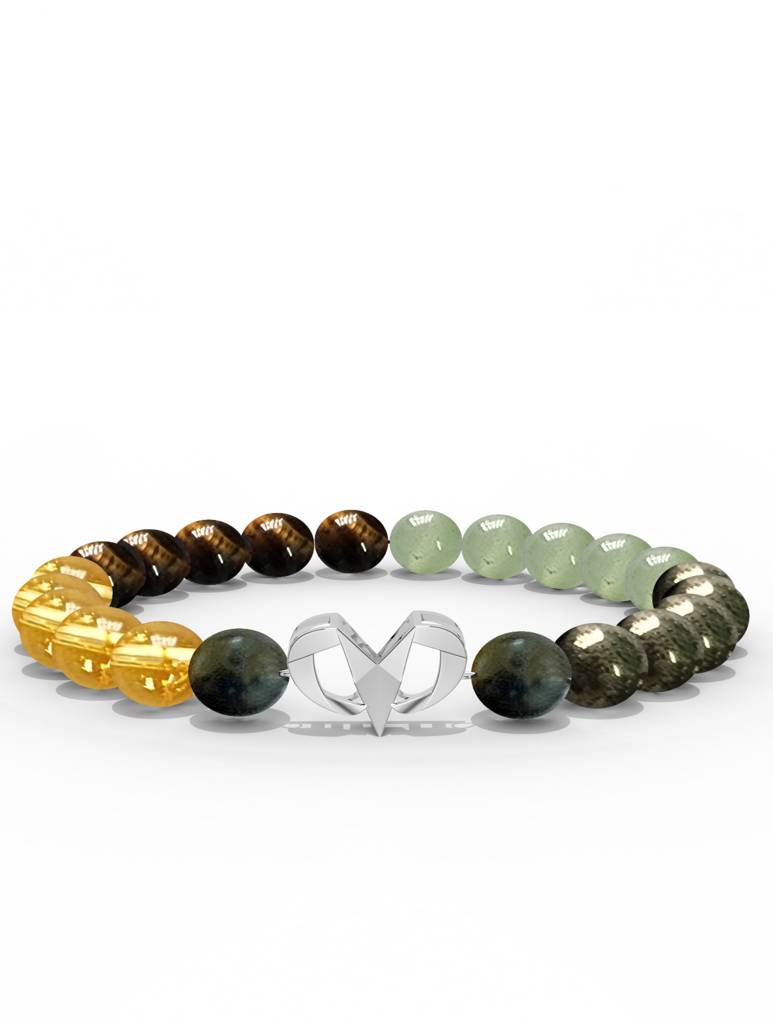 925 Sterling Silver Aries Money Magnet Bracelet For Men : SILMENBR020