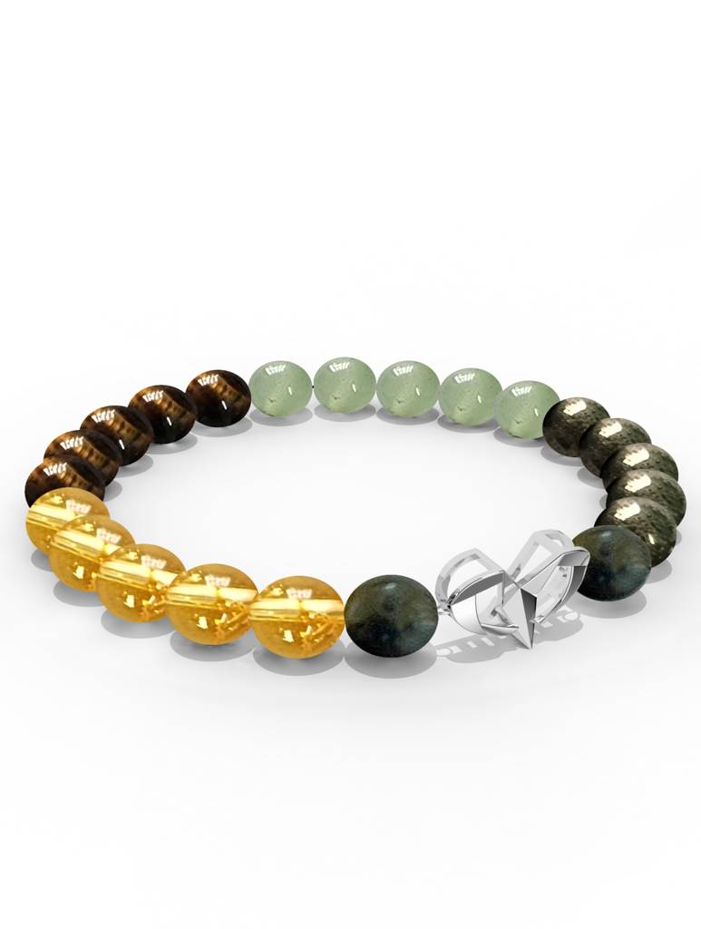 925 Sterling Silver Aries Money Magnet Bracelet For Men : SILMENBR020