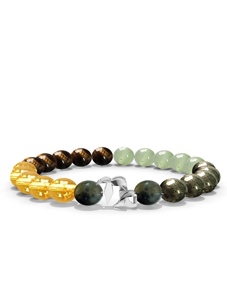 925 Sterling Silver Capricorn Money Magnet Bracelet For Men : SILMENBR023