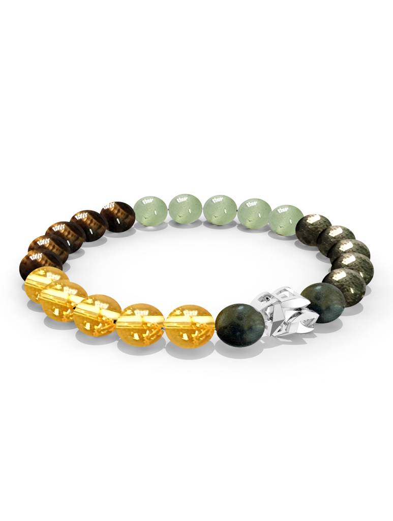 925 Sterling Silver Capricorn Money Magnet Bracelet For Men : SILMENBR023