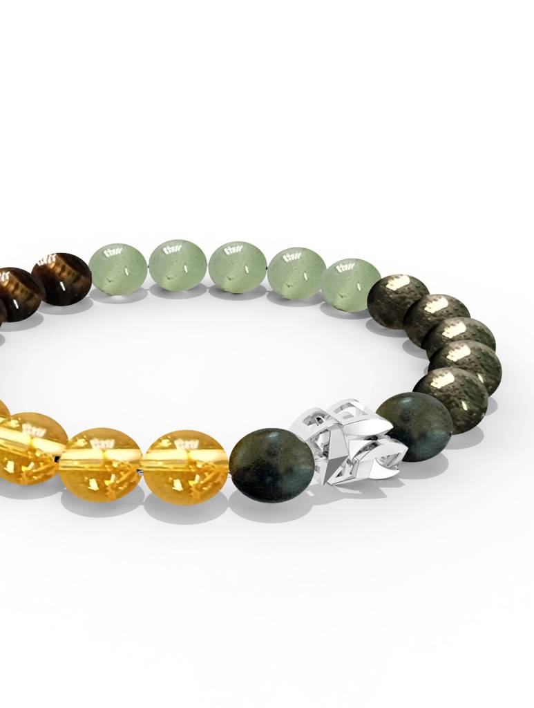 925 Sterling Silver Capricorn Money Magnet Bracelet For Men : SILMENBR023