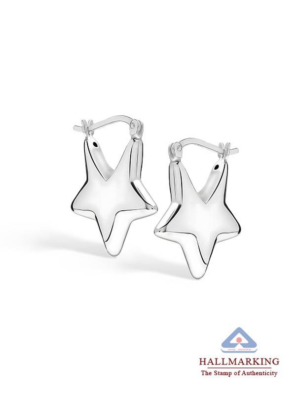 Minimalist 3D Star-Shaped Hoop Earrings : SLHP105582SL