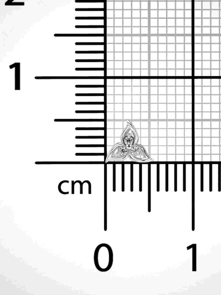 Sterling Silver Plated With Certified Lab Grown Diamond 0.02Cts | Vgnp0011 : VGNP0011_SWL