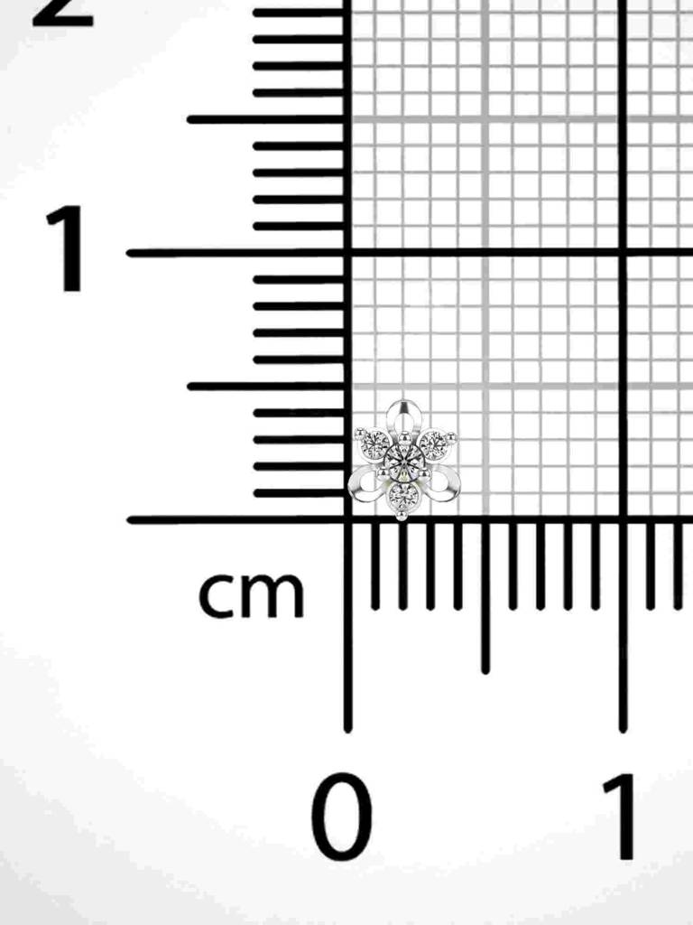 Sterling Silver Plated With Certified Lab Grown Diamond 0.03Cts | Vgnp0014 : VGNP0014_SWL