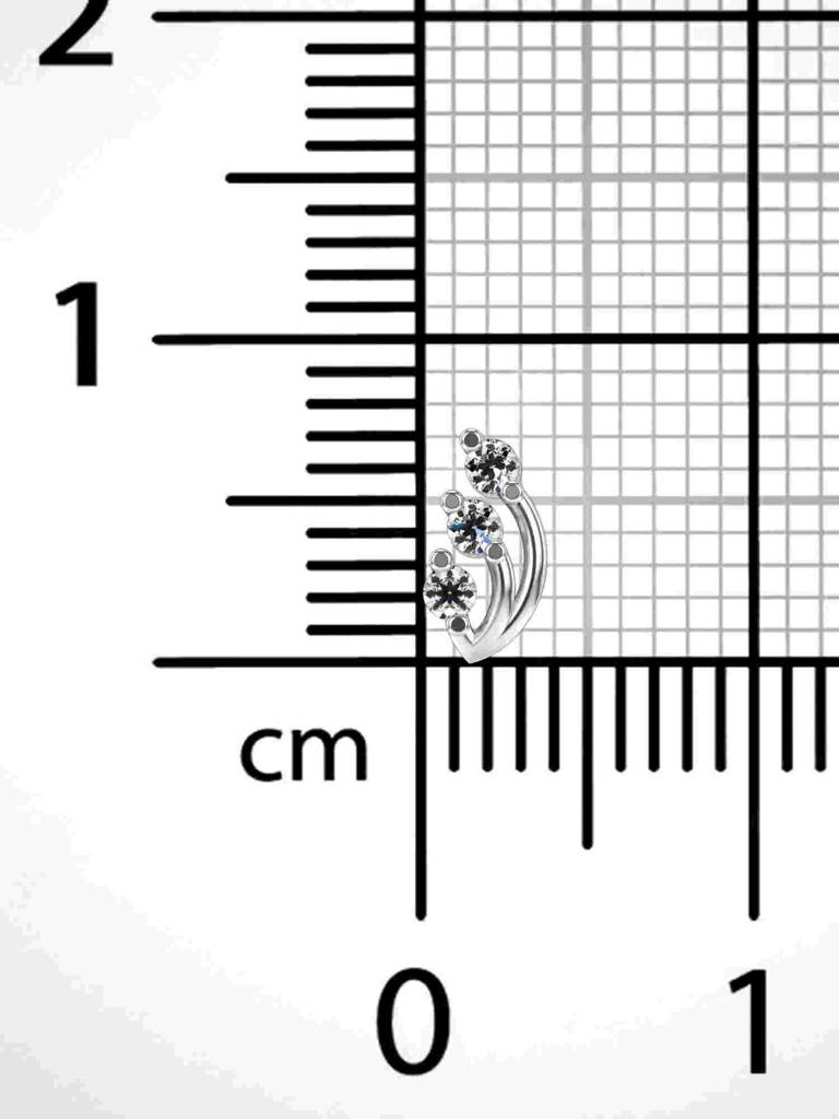 Sterling Silver Plated With Certified Lab Grown Diamond 0.06Cts | Vgnp0046 : VGNP0046_SWL