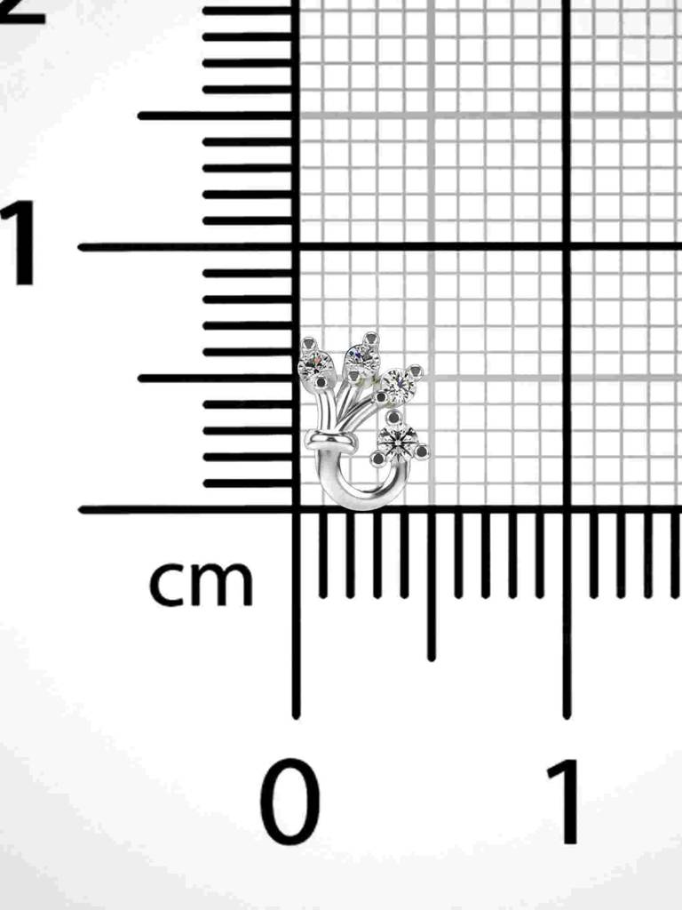 Sterling Silver Plated With Certified Lab Grown Diamond 0.04Cts | Vgnp0060 : VGNP0060_SWL