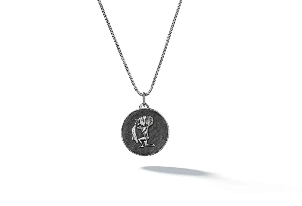 Zodiac Pendant-Aquarius : ZodiacPendant-Aquarius